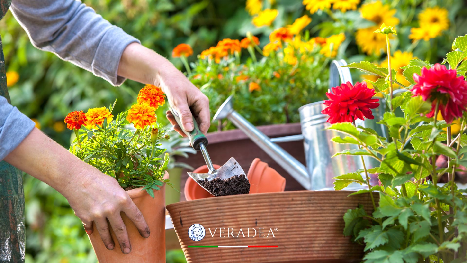 Veradea - stress e giardinaggio